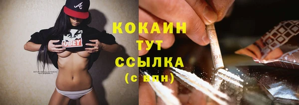 PSILOCYBIN Беломорск
