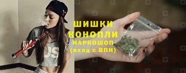 прущие грибы Белоозёрский