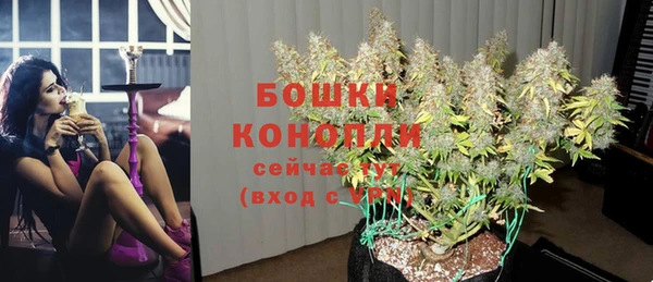 мдпв Богородск