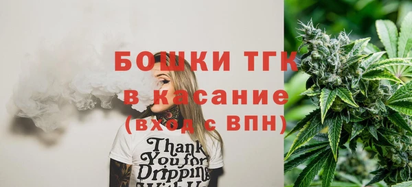мдпв Богородск