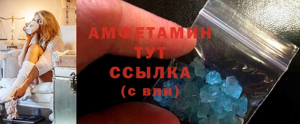 PSILOCYBIN Беломорск