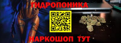 молекула духа Бийск