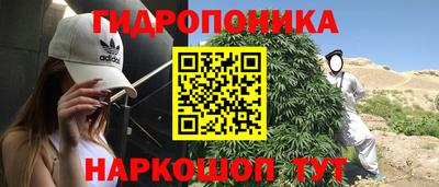 молекула духа Бийск